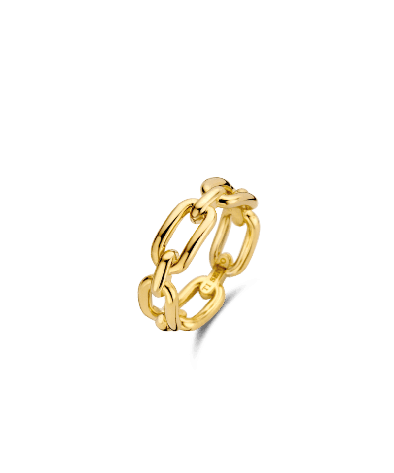 TI Sento - Milano Ring Gilded 925S