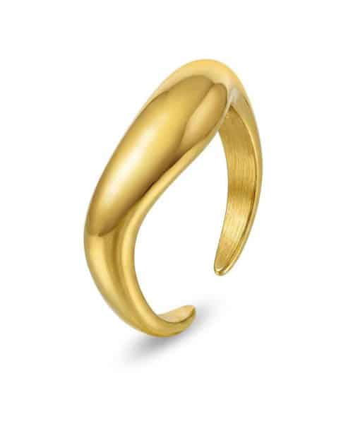 Nova ring i forgylt stål