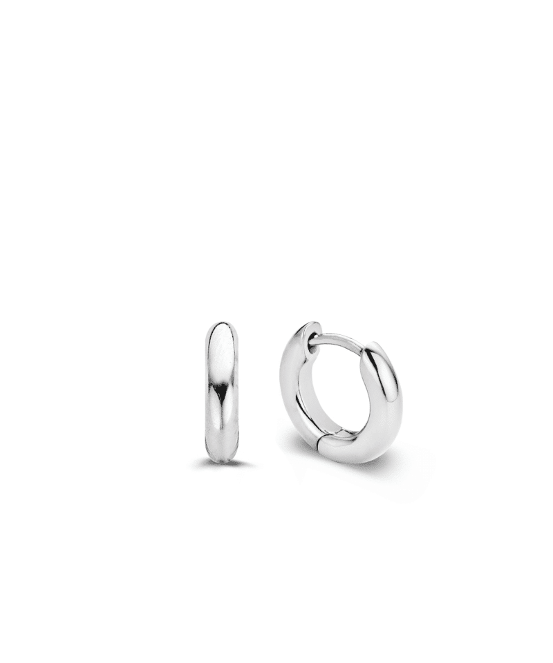 Ti Sento - Milano Earrings 7210SI