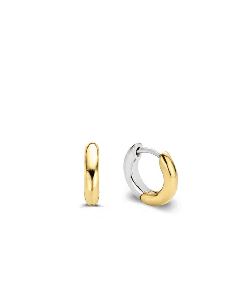Ti Sento - Milano Earrings 7210SY