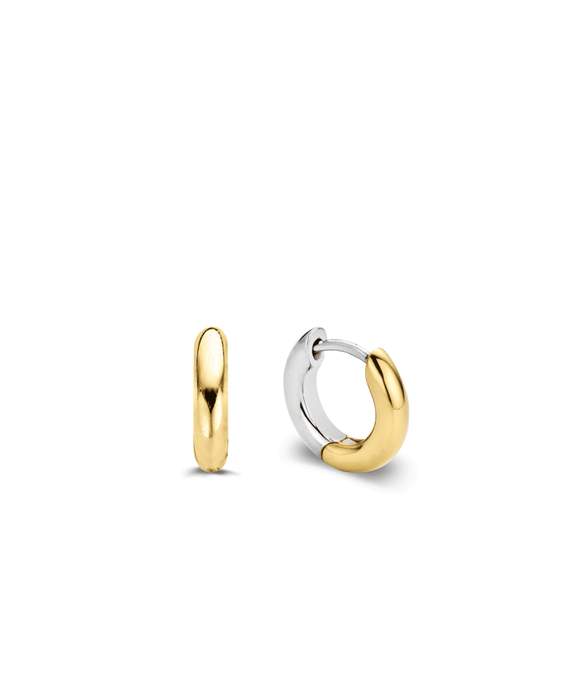 Ti Sento - Milano Earrings 7210SY
