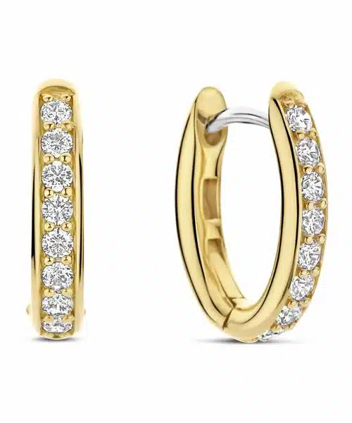 Ti Sento - Milano Earrings 7759ZY
