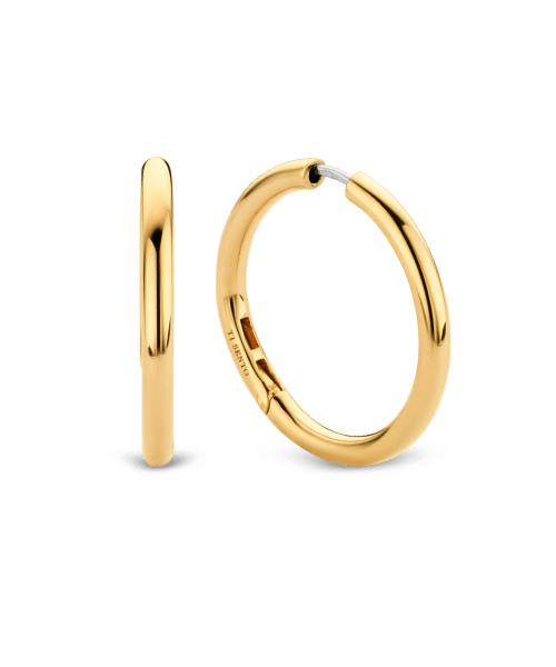 Ti Sento - Milano Earrings 7782SY