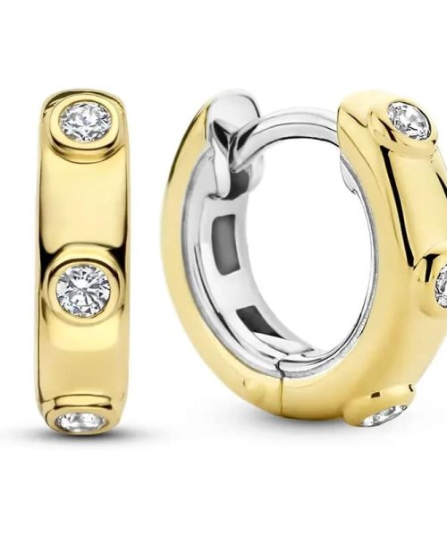 Ti Sento - Milano Earrings 7953ZY