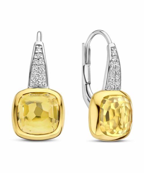 Ti Sento - Milano Earrings 7969DY